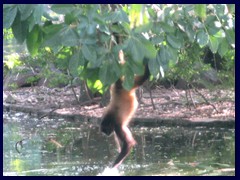 Parque Zoologico Nacional 16